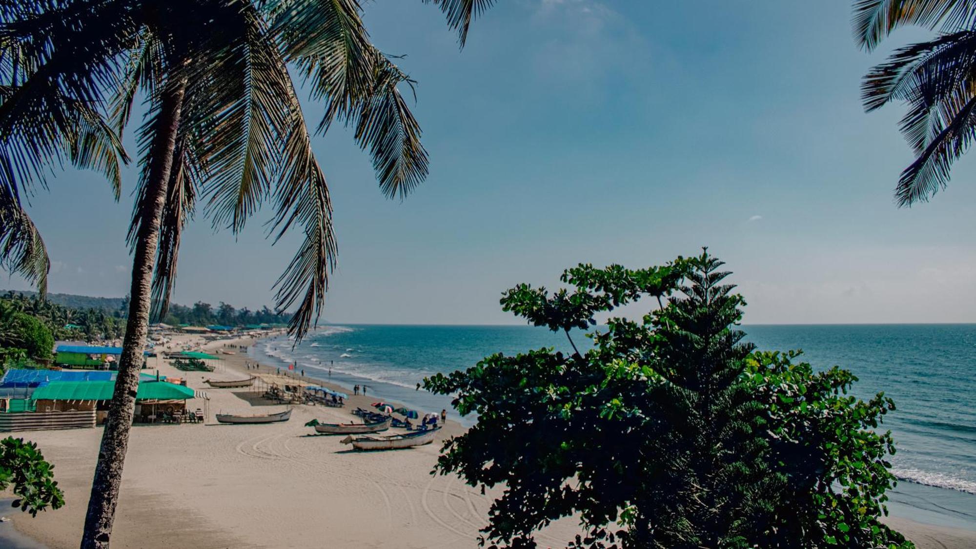 This Is It Beachfront - Rooms, Cafe & Events Arambol Eksteriør bilde